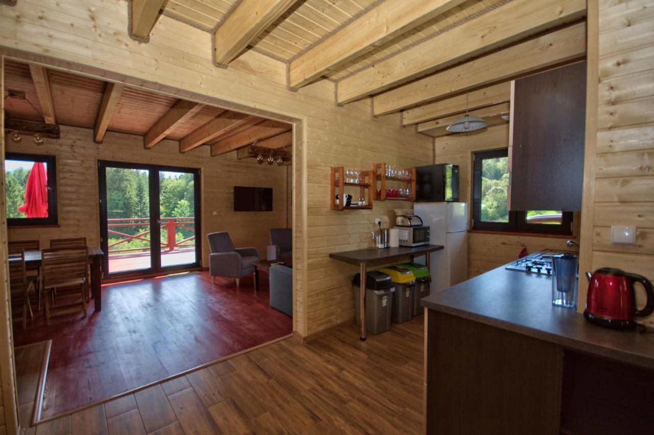 Wilki2 Apartment Wetlina